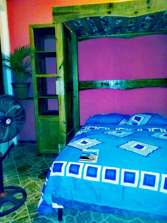 The Venue - Utila Hostel Εξωτερικό φωτογραφία