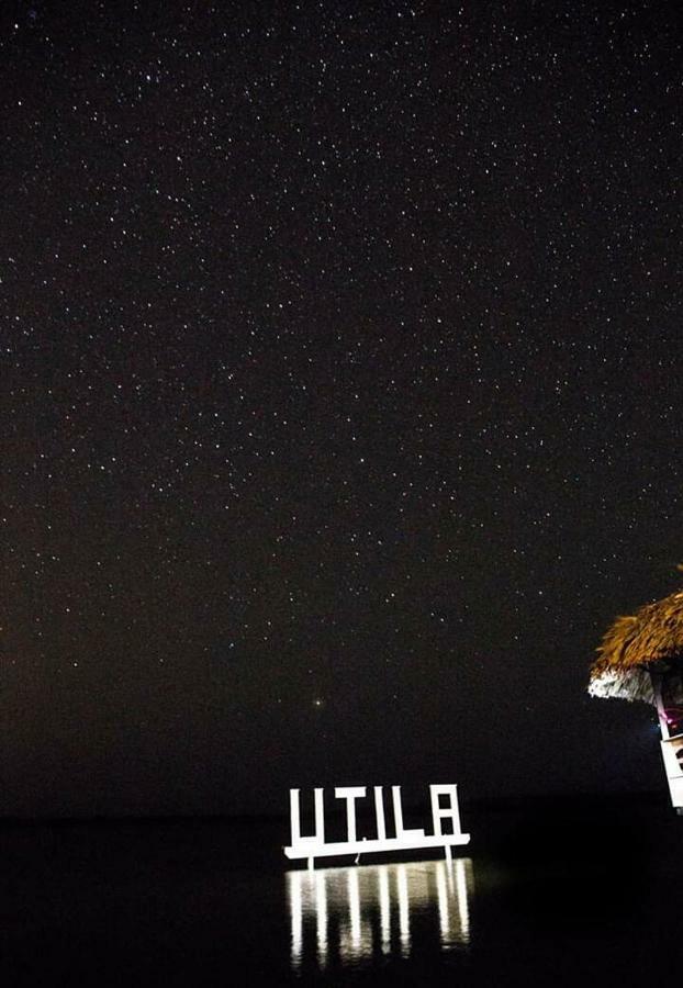 The Venue - Utila Hostel Εξωτερικό φωτογραφία