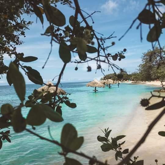 The Venue - Utila Hostel Εξωτερικό φωτογραφία